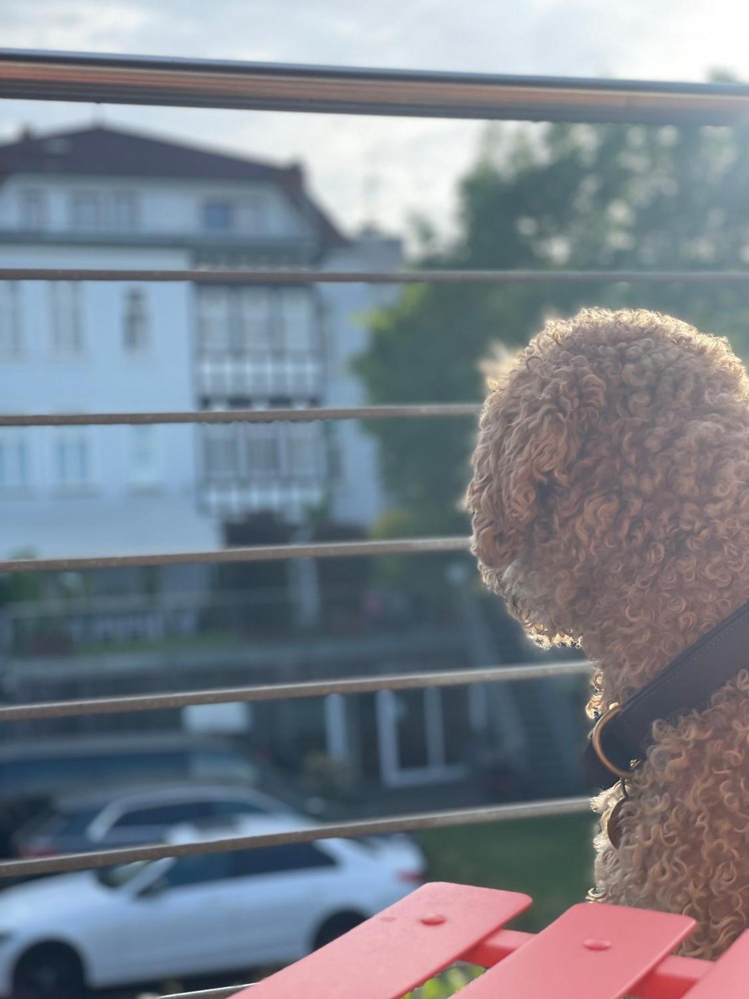 Sonniges Hinterhaus Og Innenstadt オスナブリュック エクステリア 写真