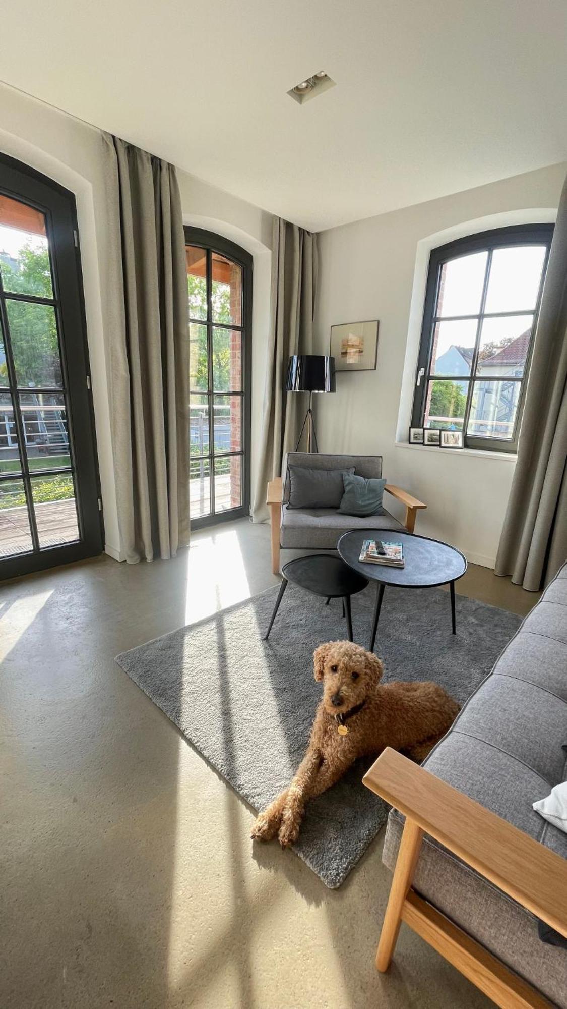Sonniges Hinterhaus Og Innenstadt オスナブリュック エクステリア 写真